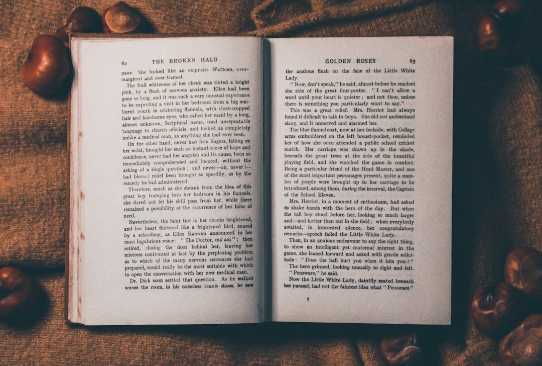 mystery novel pages