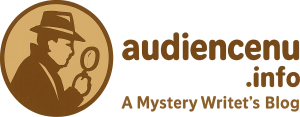audiencenu.info